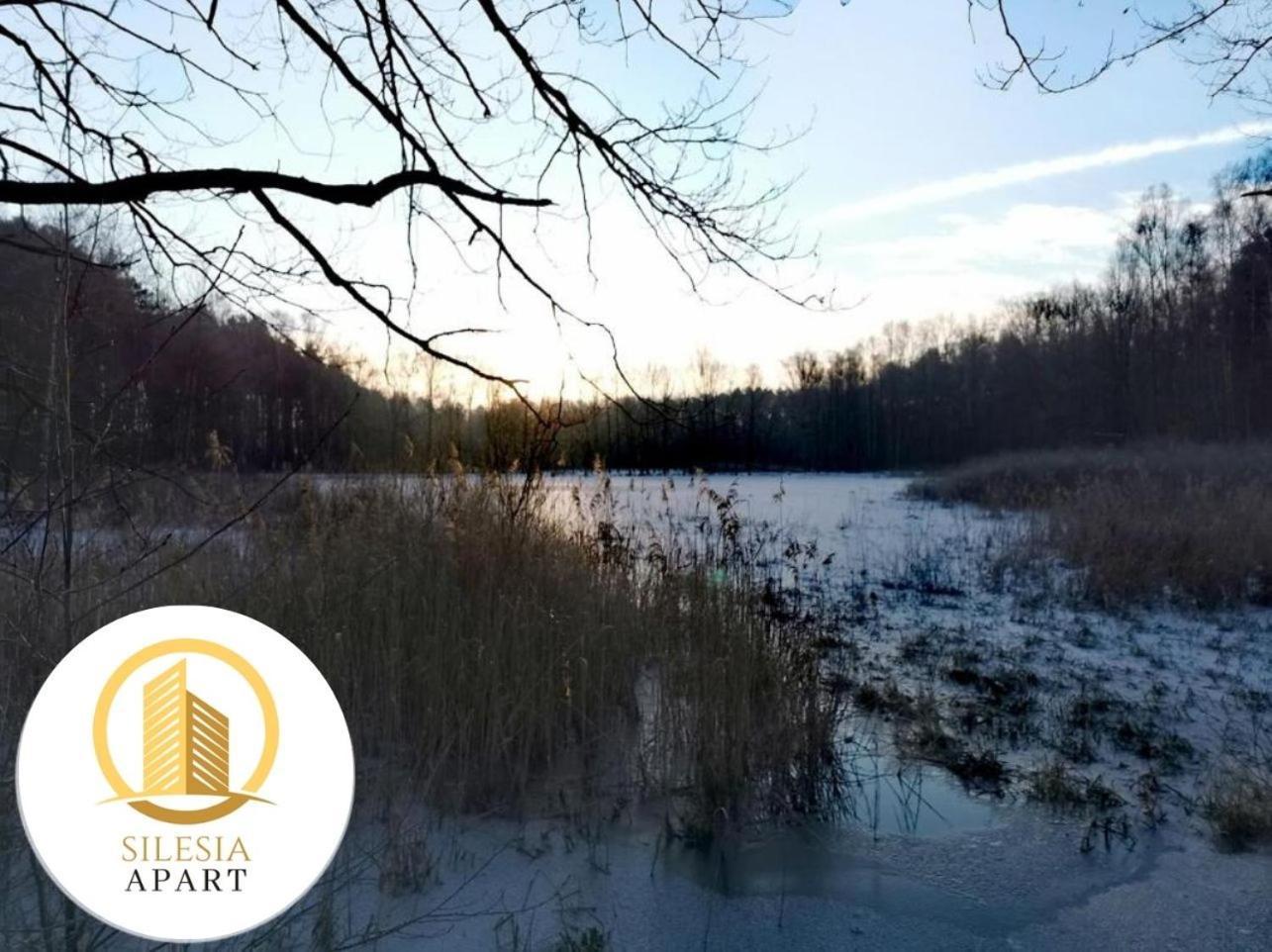Apartament Granatowy Tychy Bagian luar foto
